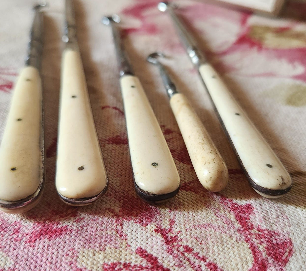 Antique French Set of 5 Horn Bone Handle Button Hooks