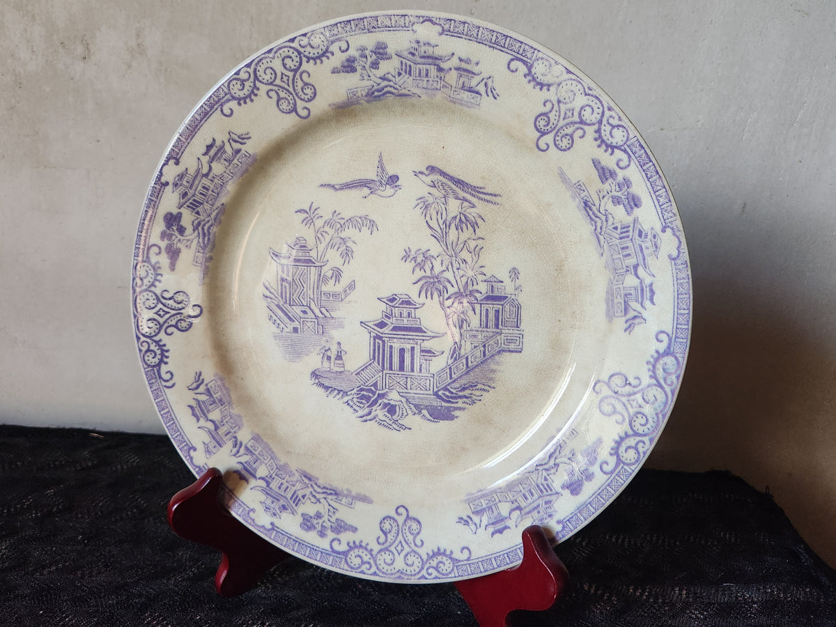 Antiguo Staffordshire de 1800, Clementson Brothers CHUSAN Lavanda