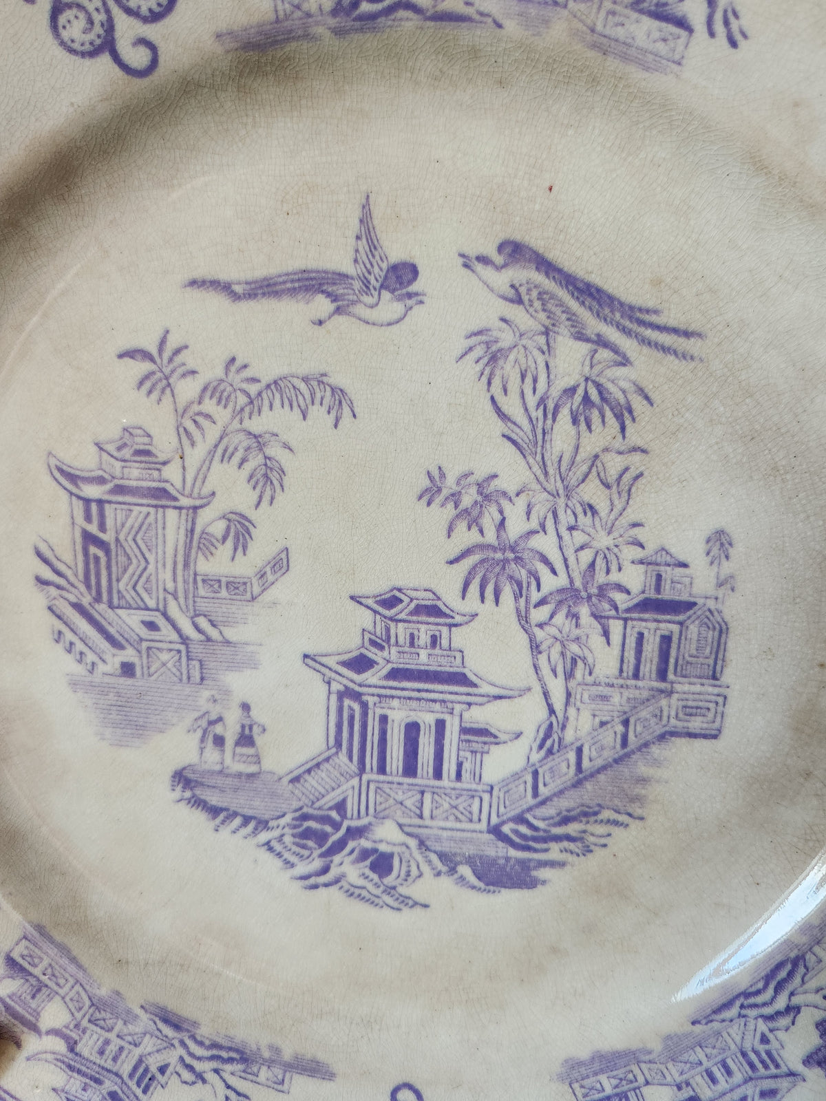 Antiguo Staffordshire de 1800, Clementson Brothers CHUSAN Lavanda