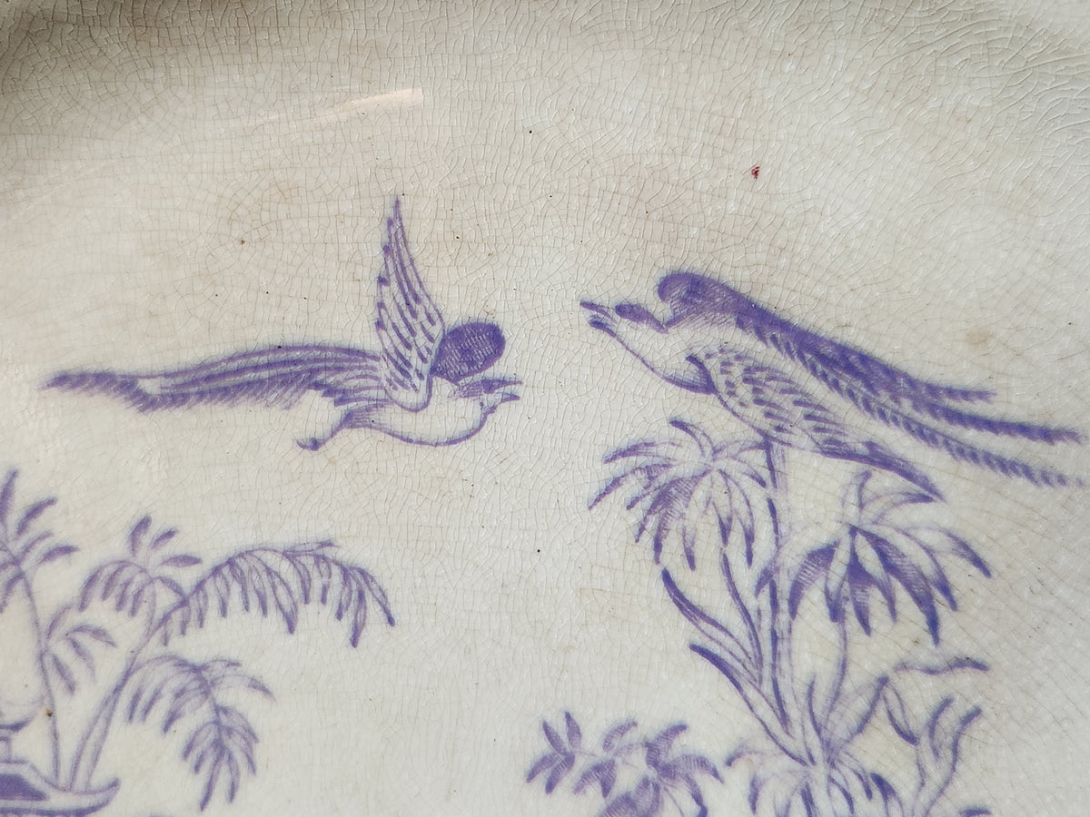 Antiguo Staffordshire de 1800, Clementson Brothers CHUSAN Lavanda