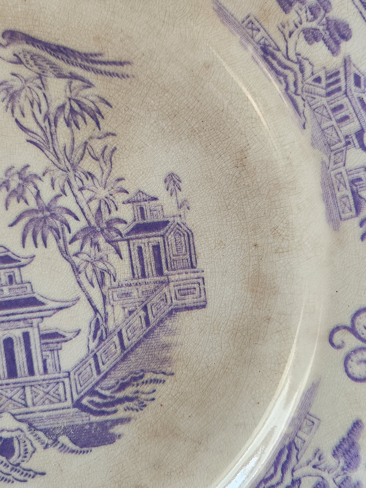 Antiguo Staffordshire de 1800, Clementson Brothers CHUSAN Lavanda