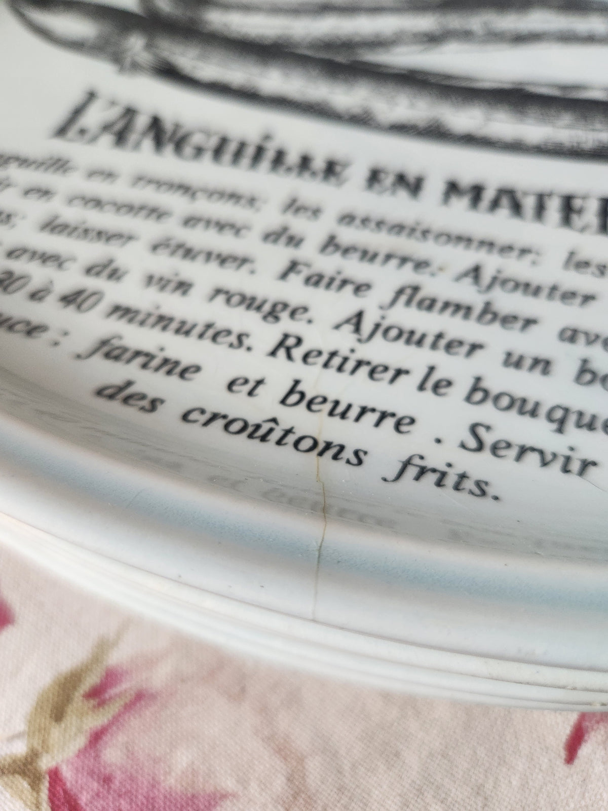Platos franceses vintage para pescado GIEN con recetas, juego de 6 de la década de 1970