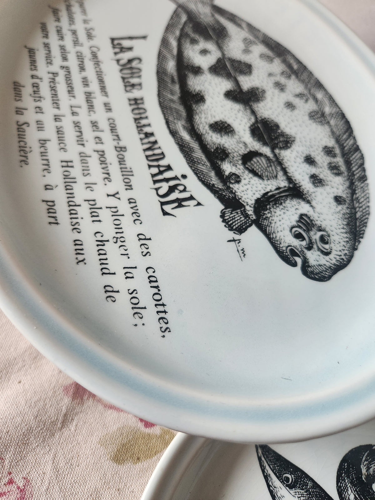Platos franceses vintage para pescado GIEN con recetas, juego de 6 de la década de 1970