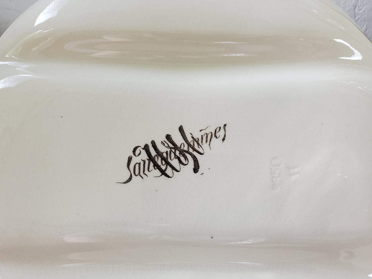 Antique Sarreguemines Asparagus Plate: French Ironstone Victorian Dinnerware