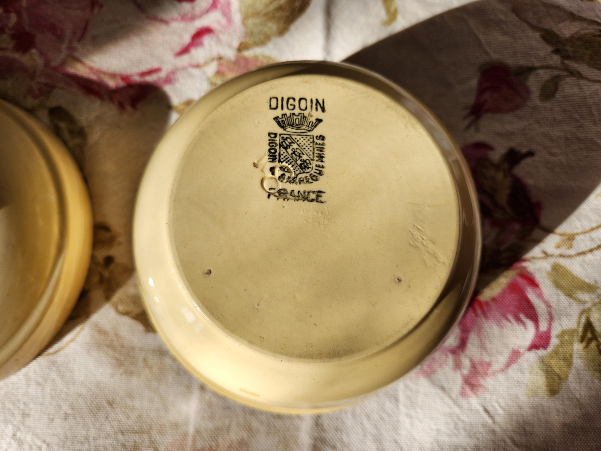 Antique Digoin Ironstone Terrine Pot: French Lidded Bowl, 1870s Kitchenware