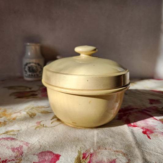 Antique Digoin terre de fer ironstone confit terrine dish with lid