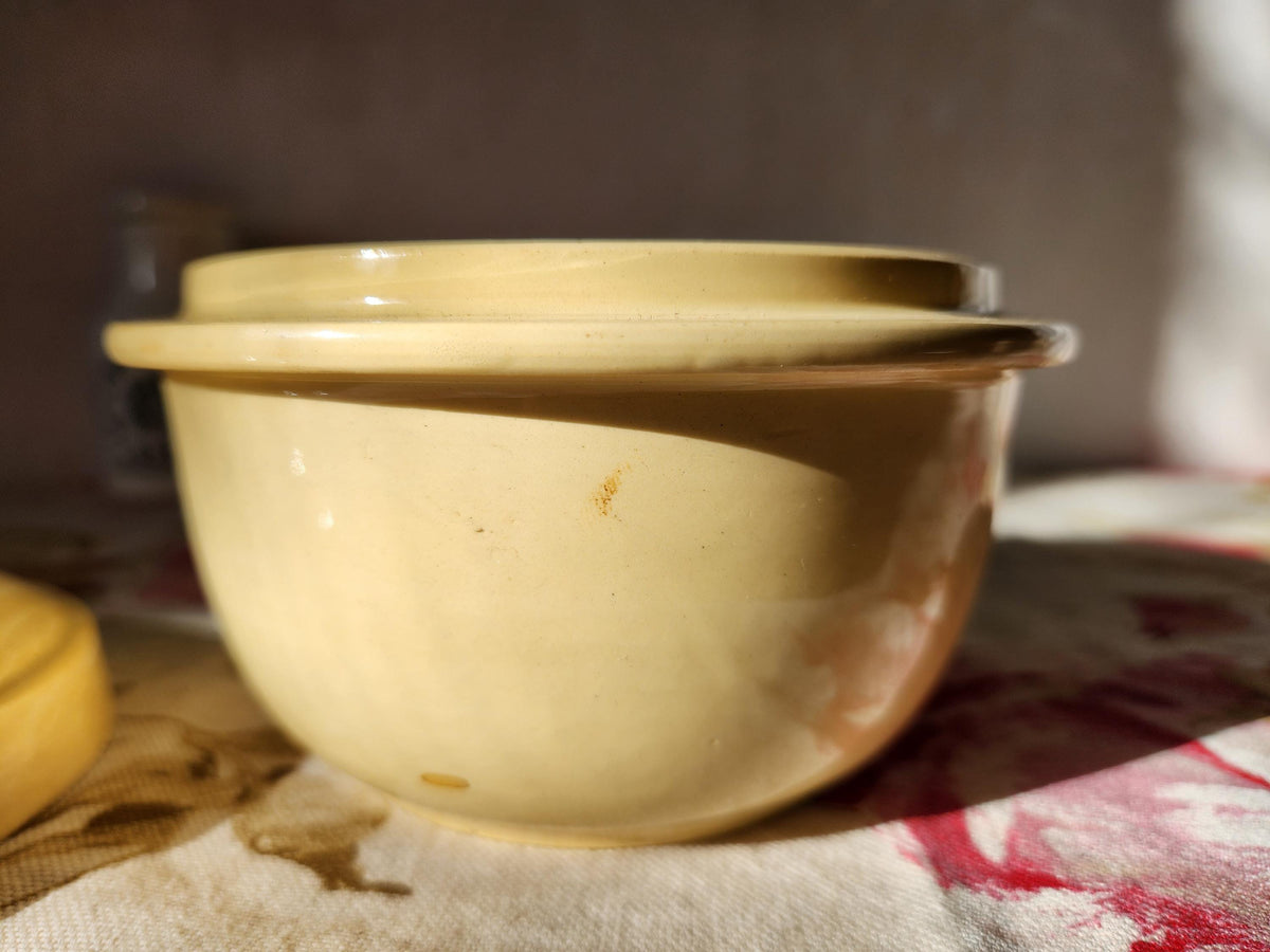 Antique Digoin Ironstone Terrine Pot: French Lidded Bowl, 1870s Kitchenware