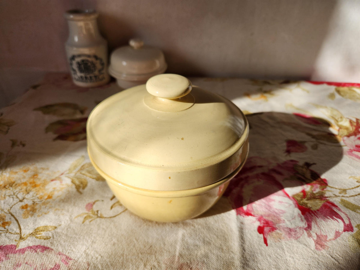 Antique Digoin Ironstone Terrine Pot: French Lidded Bowl, 1870s Kitchenware