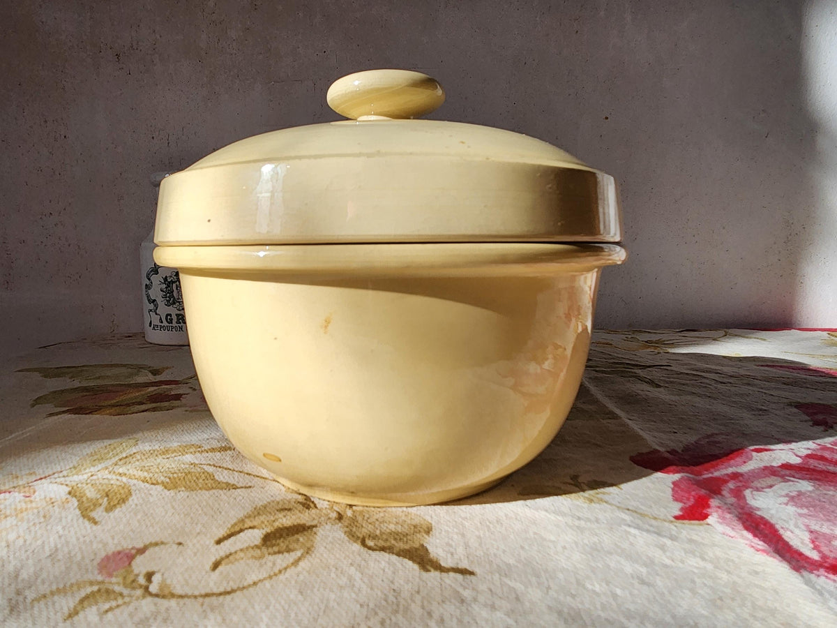 Antique Digoin Ironstone Terrine Pot: French Lidded Bowl, 1870s Kitchenware