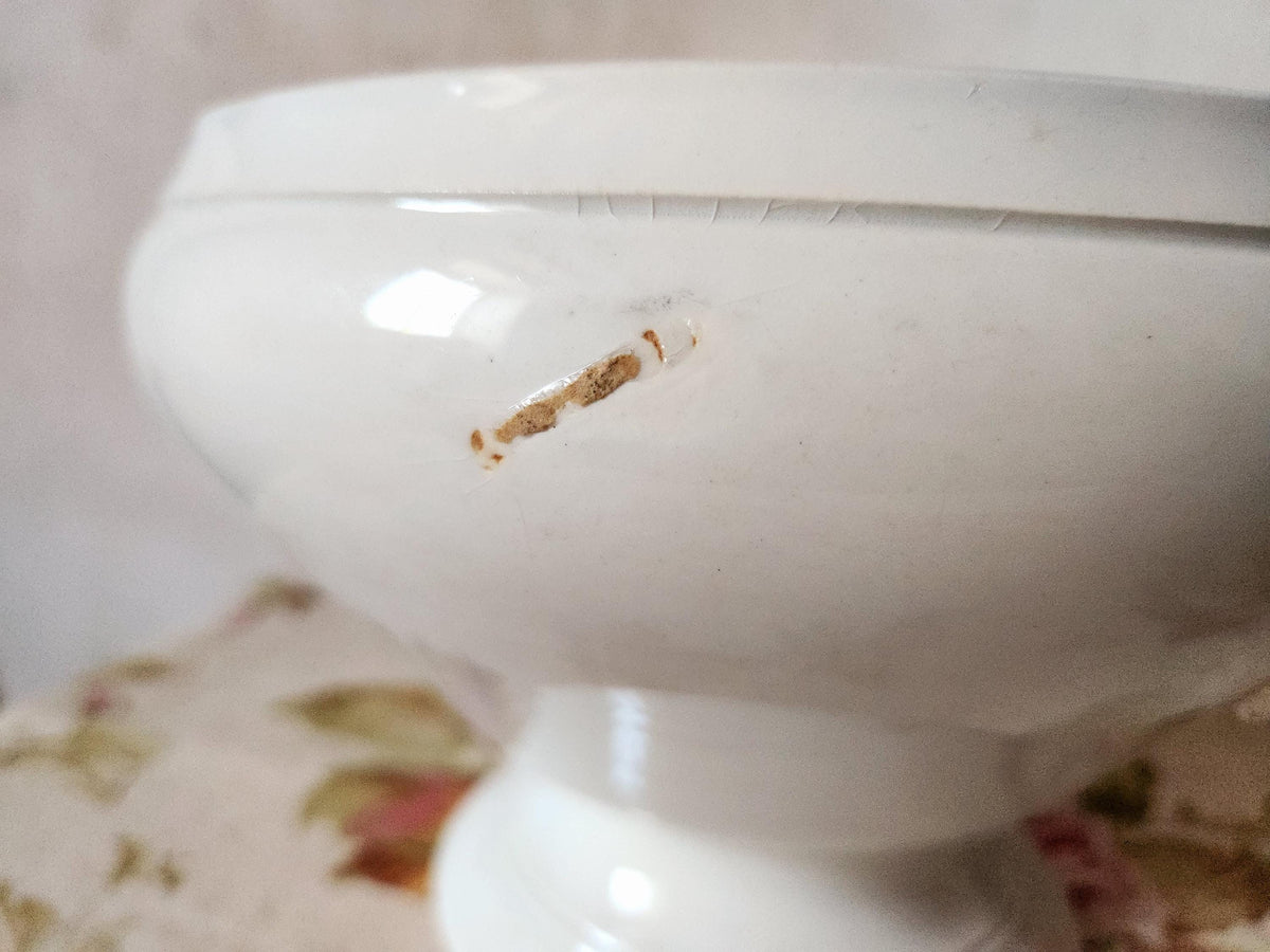 Antique French 19th Century Sarreguemines Ironstone Tureen Bowl: French Farmhouse Decor - No Lid
