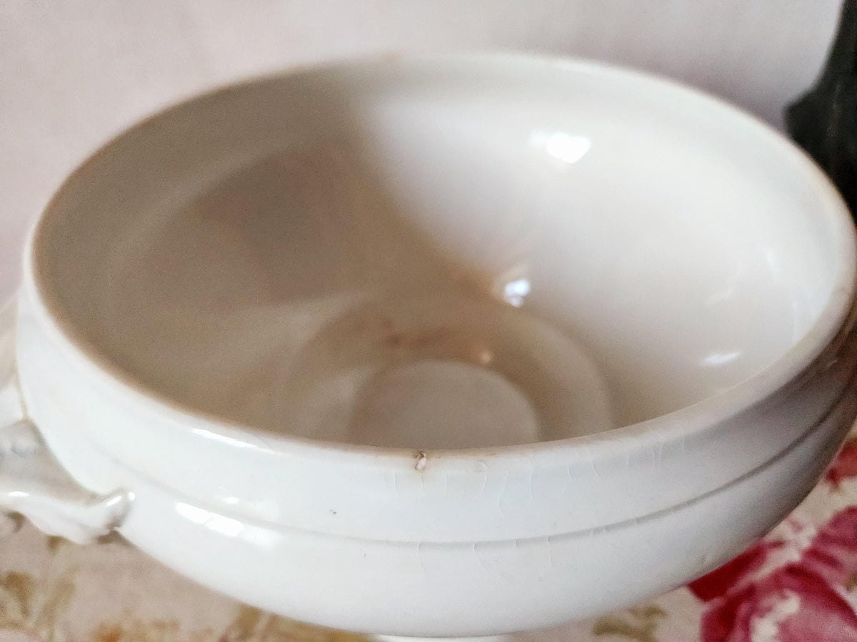 Antique French 19th Century Sarreguemines Ironstone Tureen Bowl: French Farmhouse Decor - No Lid