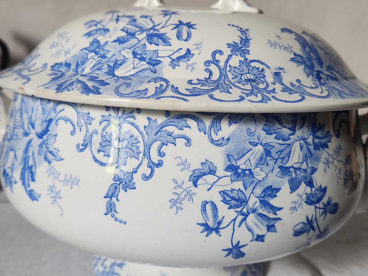 Antique French Saint Amand et Hamage Campanule Ironstone Soup Tureen: Blue Floral Transferware Bowl