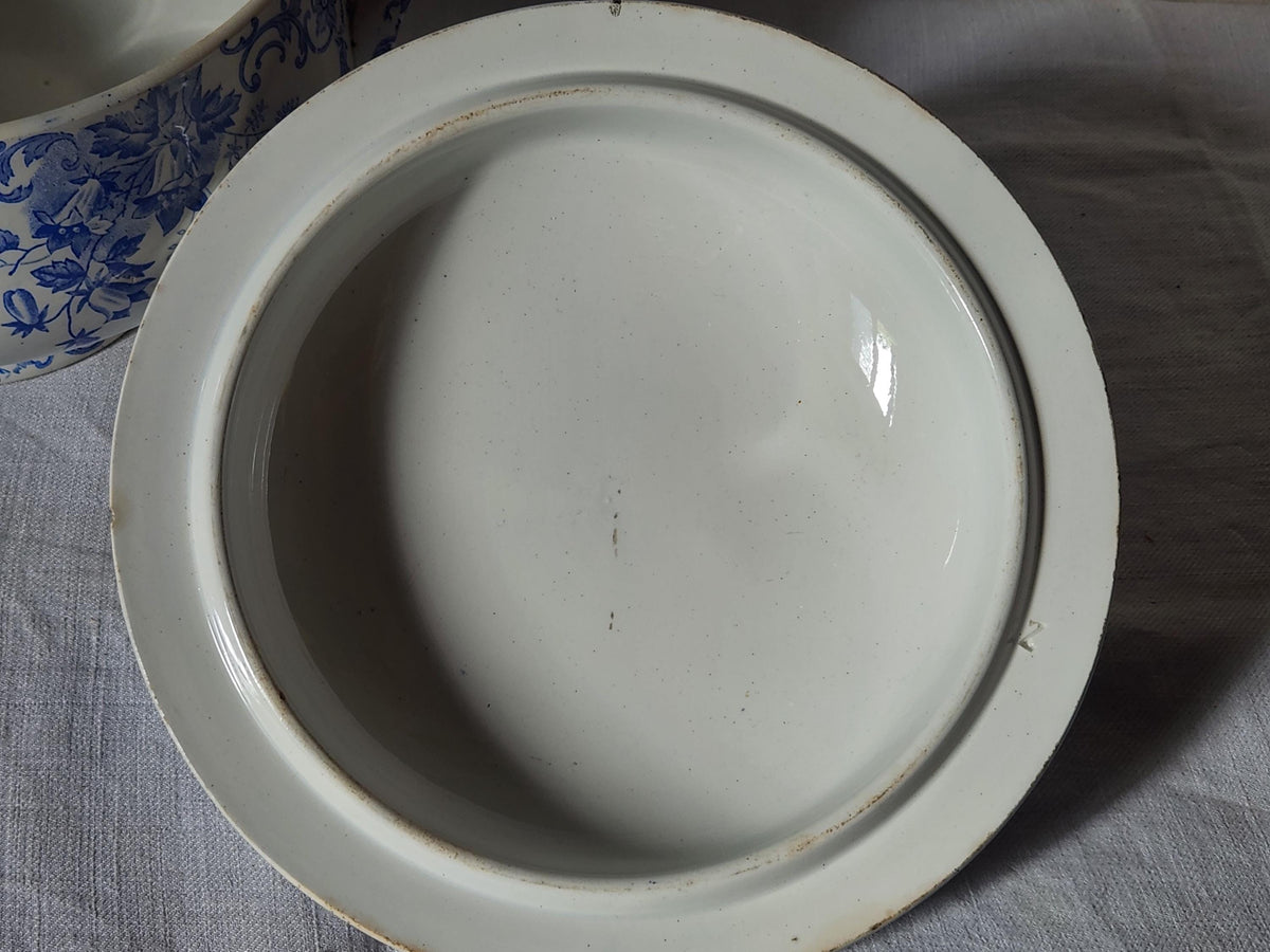 Antique French Saint Amand et Hamage Campanule Ironstone Soup Tureen: Blue Floral Transferware Bowl