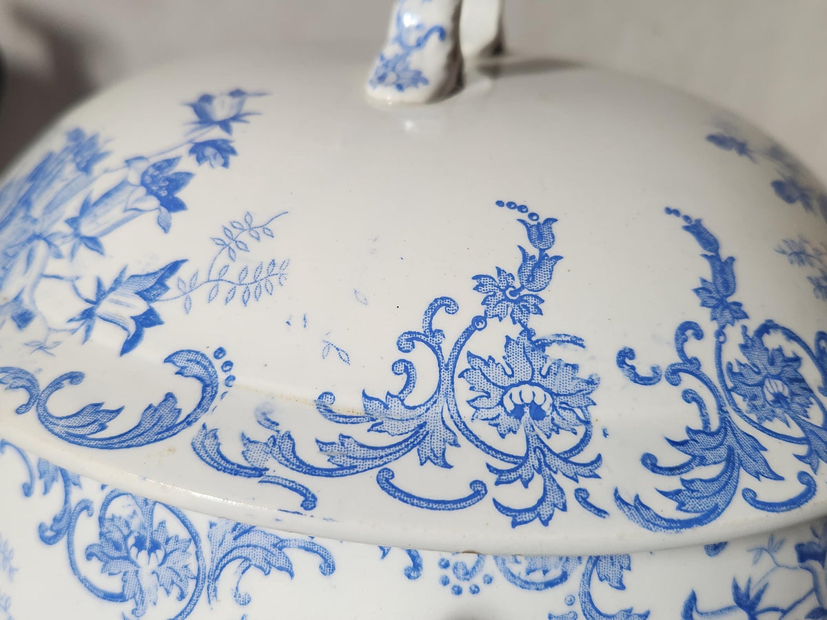 Antique French Saint Amand et Hamage Campanule Ironstone Soup Tureen: Blue Floral Transferware Bowl